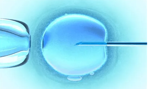 南阳60岁试管助孕：如果你想做试管婴儿，你可以了解一下囊胚移植，它是试管婴儿移植中成功率最高的。