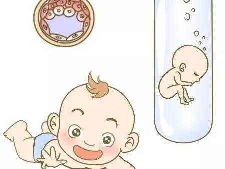 试管婴儿期间一次应该取多少个卵子？