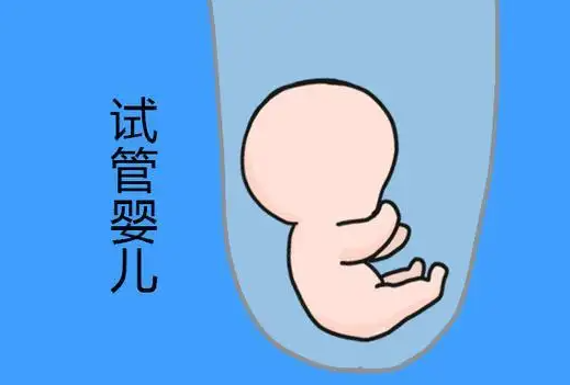 淄博借腹生子公司-广西哪家公立医院有卵子库？"2022年借卵生子的详细过程