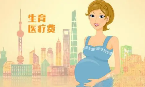 上海助孕龙凤胎高端机构-上海最好的10家试管婴儿诊所名单! 通过第三代试管婴儿怀上男孩的条件列表!