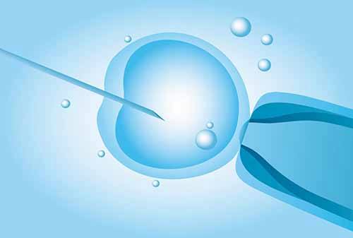 保定供卵助孕花费：赣州人民医院供卵试管婴儿费用，2023年辅助生殖保存2