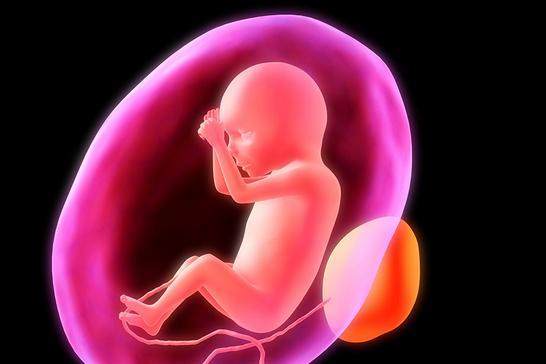 常德供卵中介qq群：为什么照顾好我们的子宫很重要？