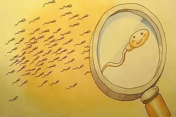 镇江捐卵-使用捐赠者精子的试管婴儿有哪些步骤？