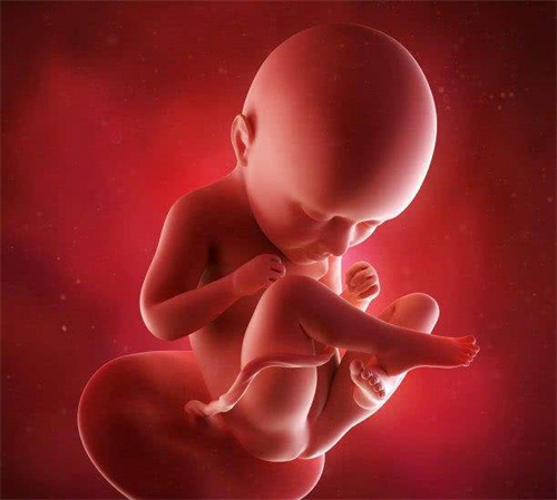 盐城43岁供卵：试管婴儿是否会加速卵巢老化并导致卵巢早衰？
