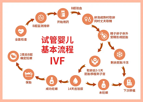 台湾借卵试管：第三代试管婴儿程序的各个步骤是什么？该程序需要多长时间？